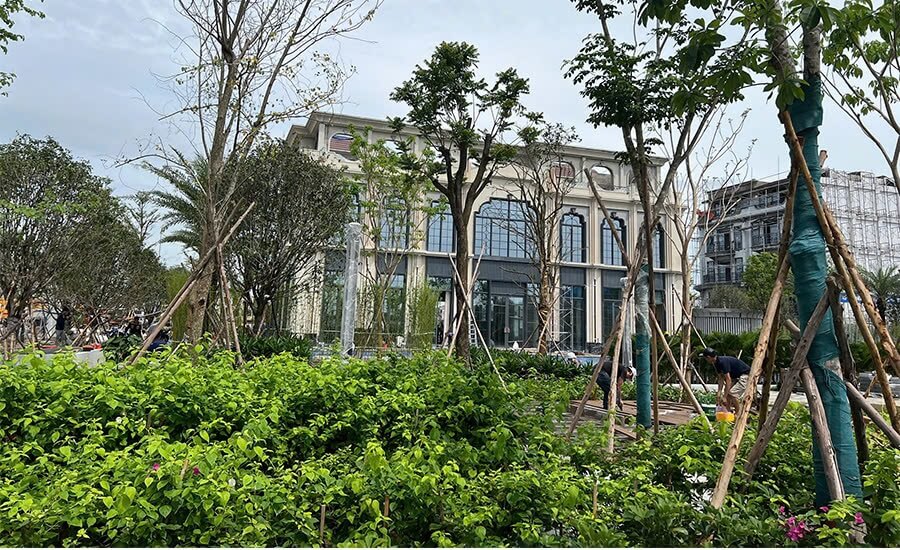 Nhà Mẫu ANmaison Hải Phòng-Giá Trị Quốc Tế